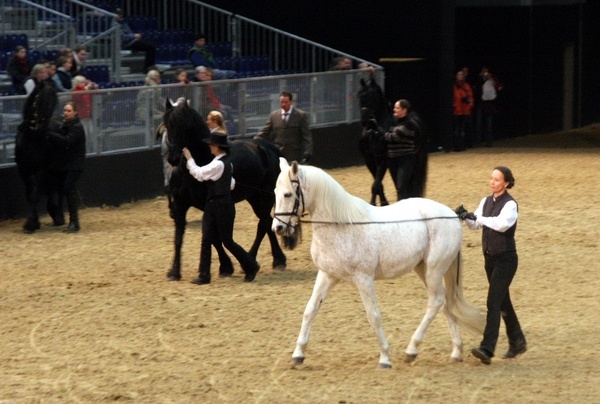 Pferd und Jagd 2008  067.jpg